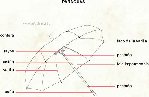 Paraguas (Diccionario visual)